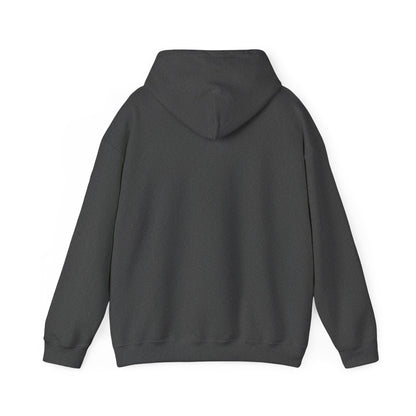 'I Told You So' Bitcoin Hoodie