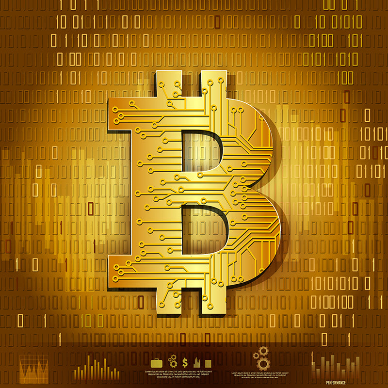 Bitcoin + Cryptocurrency Canvas