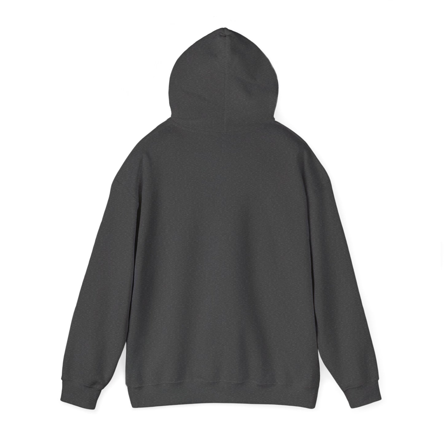 Bitcoin Hoodie – "Bitcoin Doesn’t Care About Your Feelings" Hoodie