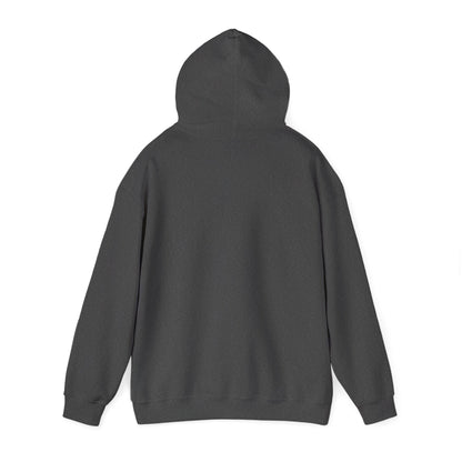 Bitcoin Hoodie – "Bitcoin Doesn’t Care About Your Feelings" Hoodie