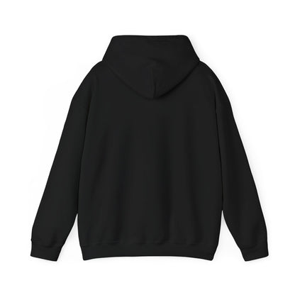 Stylish Bitcoin Hoodie
