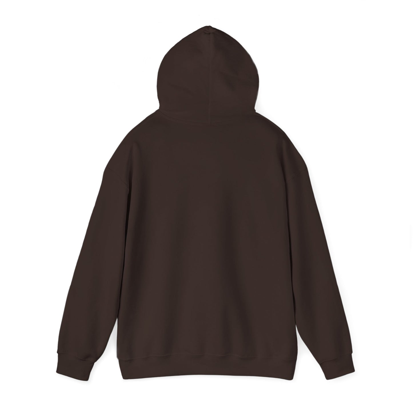 Bitcoin 'Plan B' Hoodie