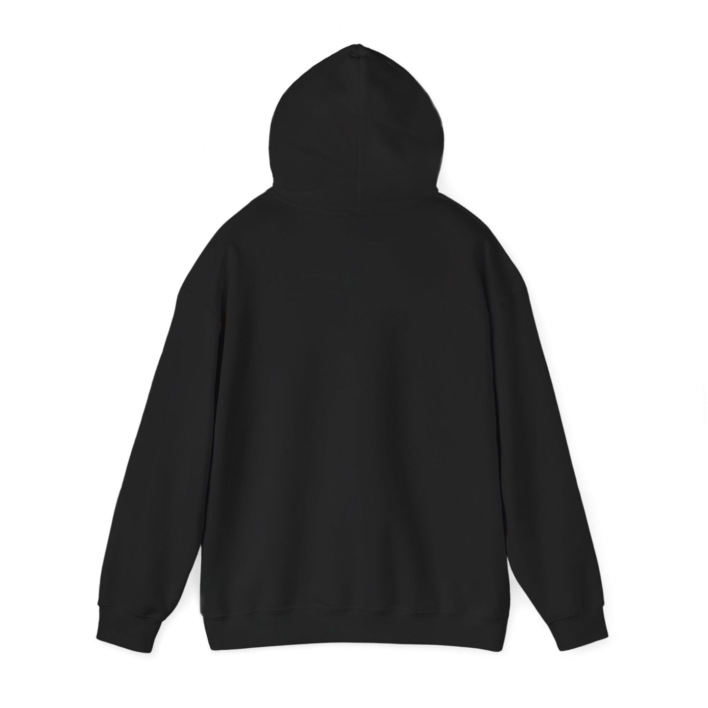 Bitcoin 'Plan B' Hoodie