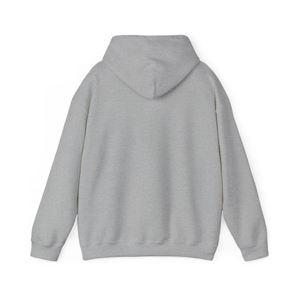 Retro Satoshi Hoodie