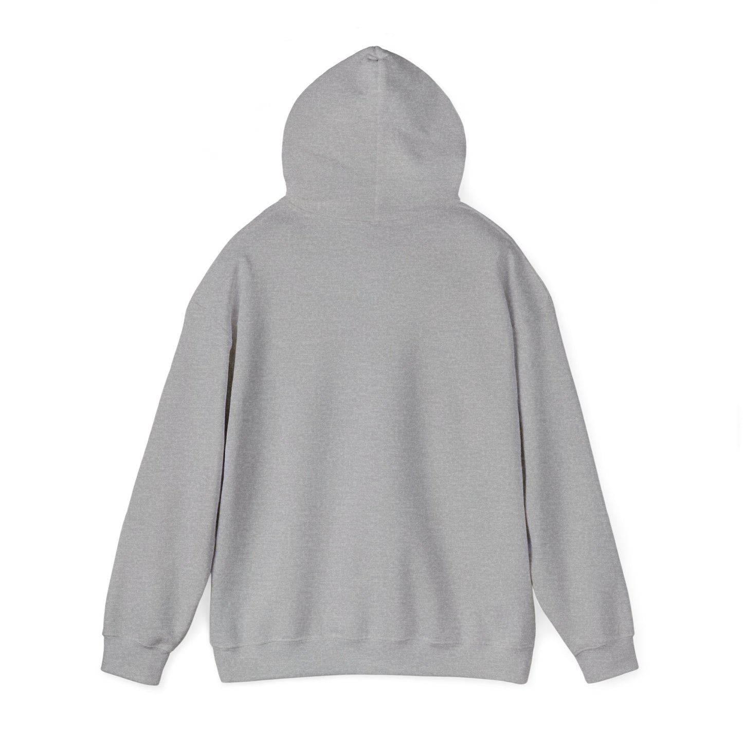 Bitcoin 'Plan B' Hoodie
