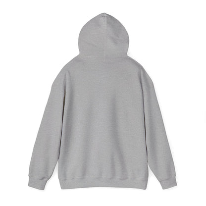 Bitcoin 'Plan B' Hoodie