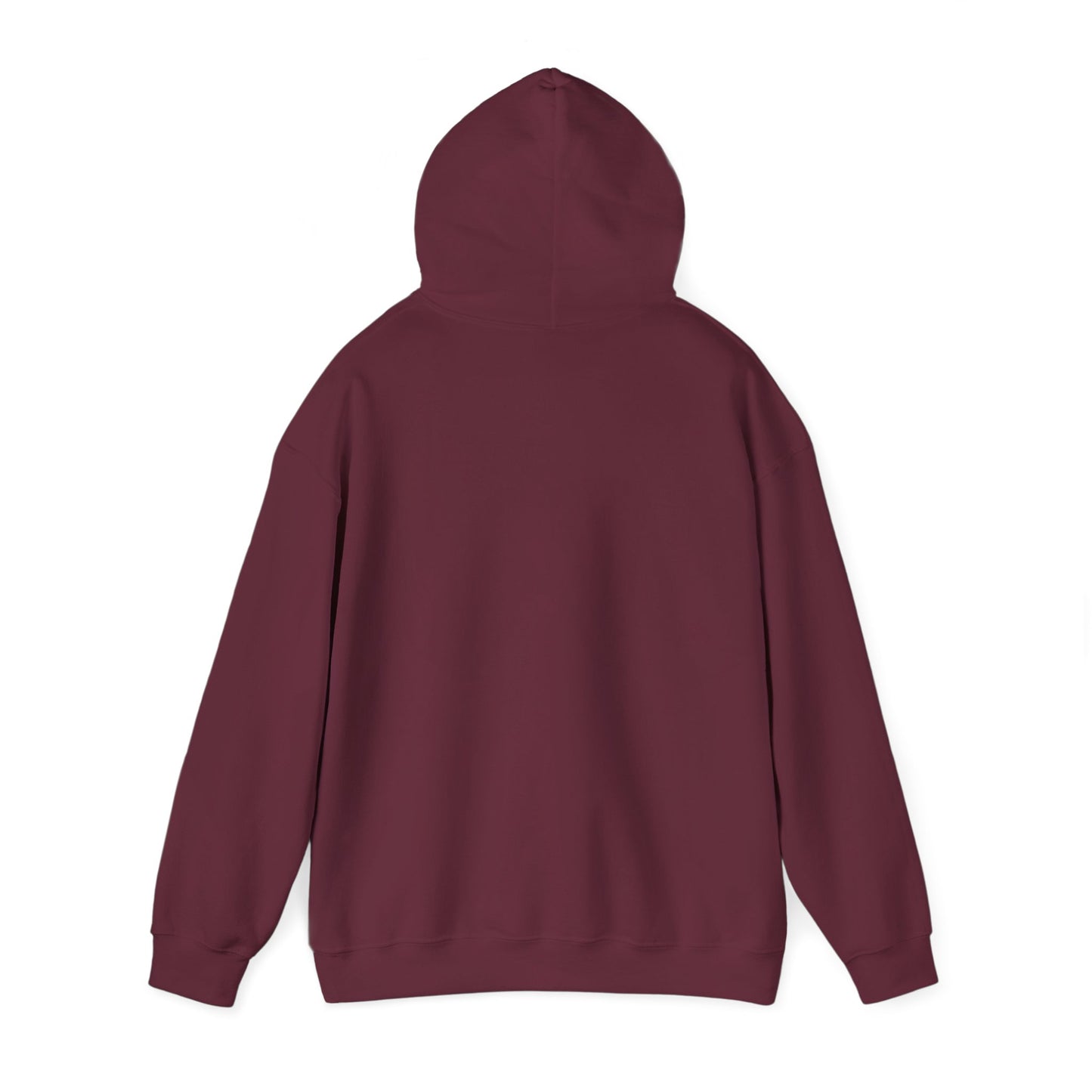 'I Told You So' Bitcoin Hoodie