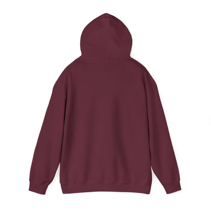 'I Told You So' Bitcoin Hoodie
